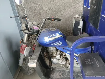 Murave Cavalo Forte R1 1