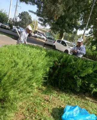 Archa va Shamshodlarga Shakl beramiz садовник сад 1