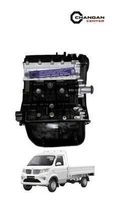 Двигатель для Shineray T30 1