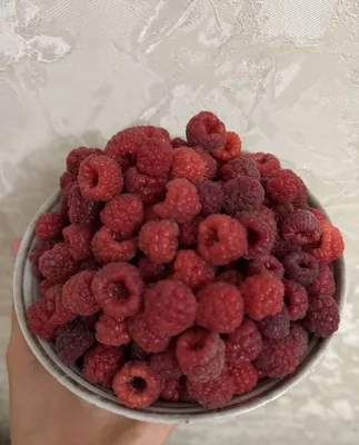 Продаются саженцы малины 1