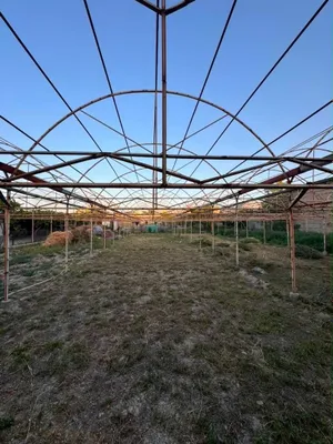 Парник 750 кв янги 1