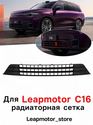 Защитная сетка радиатора для Leapmotor C16 C10 1