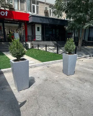 Кашпо beton gul tuvaklar 1