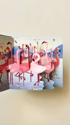 Pop-up «Nature», «Space», «Birds», «Animals», «Seasons»