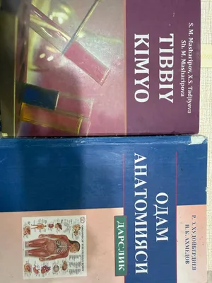Медицинская химия Машарипова, анатомия человека Расулова 1