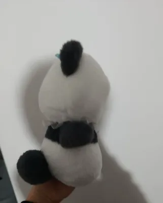 Yoqa taqqan panda qizcha 1