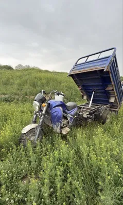 Eldosh-250, есть подъёмники 1