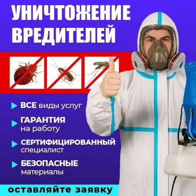 Дезинфекция от клопов гарантия 1 год официально