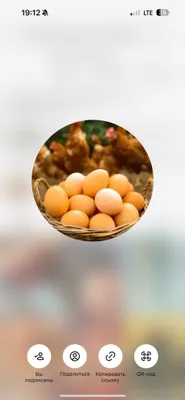 Яица домашних кур