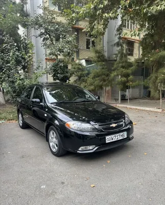 Gentrani tinig’idan hohlaganlar uchun 1