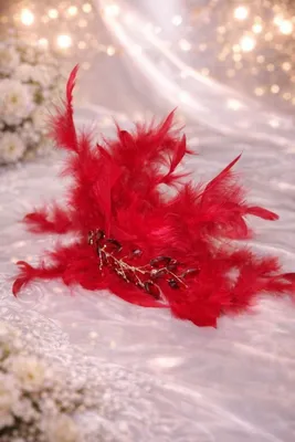 Patlik diademalar 1