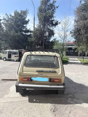НИВА 1982 года, бежевый 1