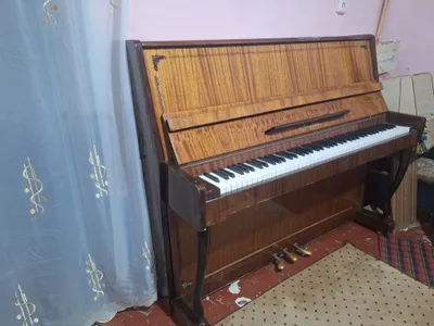 фортапиянина 1