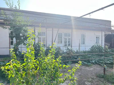 6 xonali uy sotiladi, 7 sotix yer, Mo‘ynoq ko‘chasi 1