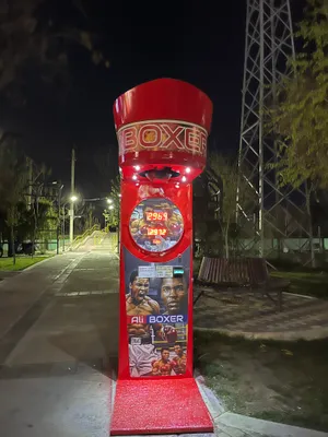 Udarnik boks nokaut qopi 1