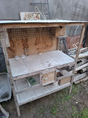 Продаётся клетка для жужа, тути и перепелов 1