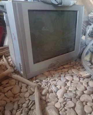 Телевизор холодильник 1