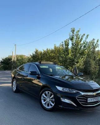 Malibu Premier 2020 Arenda Vikup 1