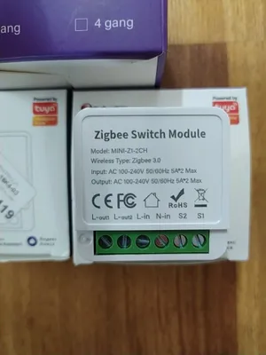 Выключатель реле Zigbee умный дом Яндекс Алиса, двойной, двухклавишный 1