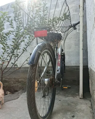 Velik. Kelishamiz 1