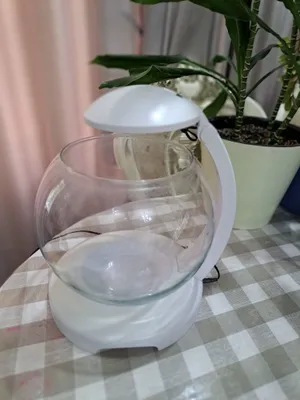 6 litrli akvarium 1