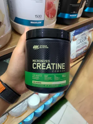 ON Creatine Powder 300 g 1