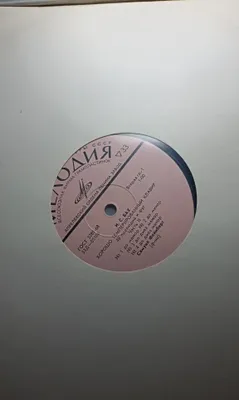 Vinil plastinkalar sotiladi. 1