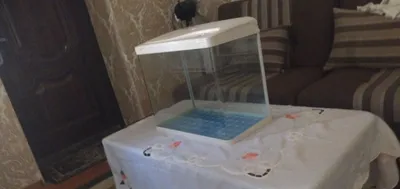 Продаю аквариум большой