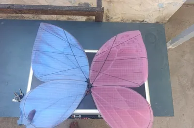 Dron Kapalak srochna sotiladi 1