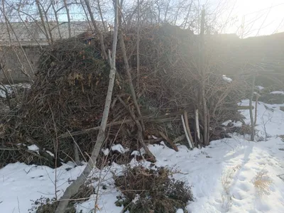 Дрова продаются. Дрова сотилади 1