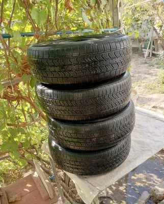 Balo'n sotiladi 13R 1