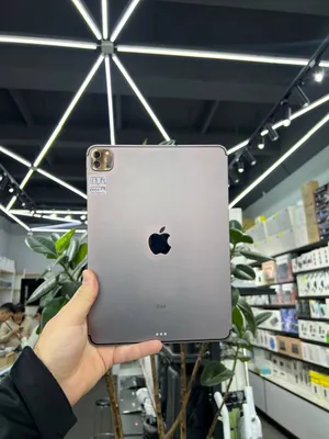 iPad Pro 11-inch 2020 (SIM kartali) 1