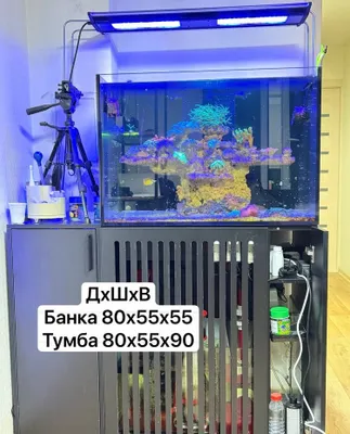 Морской аквариум 1