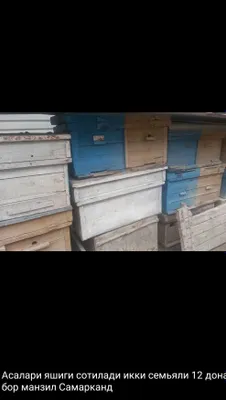 Пчелиный улей, двухкорпусный 1