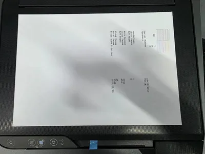 Принтер Epson L3111 1