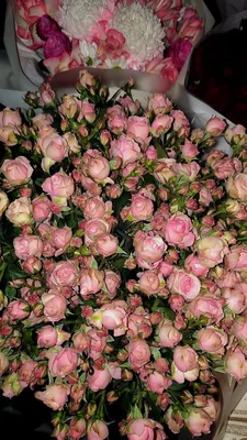 Yangi gullar 1