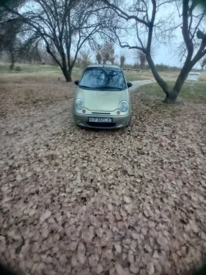 Moshin ozimni nomimda 1