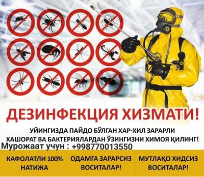 Дезинфекция