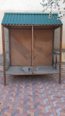 Клетка для птичек 1