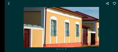 Янги коромон кушкупир