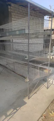 Tuxumchi tovuqlar uchun qafaslar 1