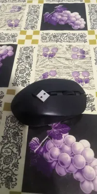 Мышь 1