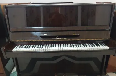 Polirovka qilingan «Lastochka» pianinosi 1