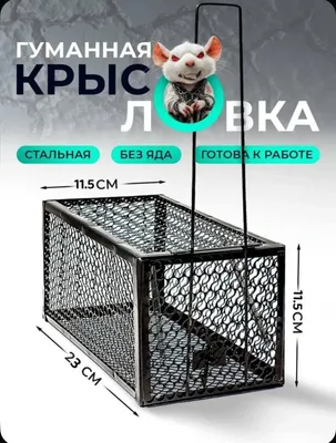 Zaharsiz va kimyoviy moddalarsiz tirik kalamush tutqich 1