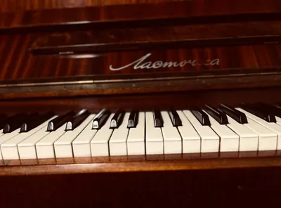 fortepiano sotiladi 1