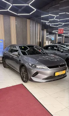 Byd qin Plus Ev 510 km 1