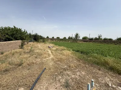 Qarshi tuman Kuchkak MFYda joylashgan 18sotix yer maydoni sotiladi 1