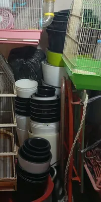 Har xil o‘lchamdagi gul tuvaklari