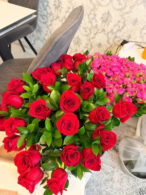 Шикарные свежие розы 1
