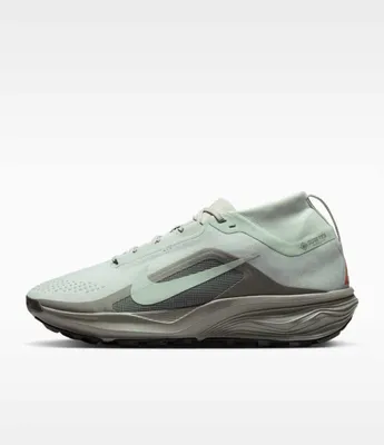 ACG Pegasus Trail GORE-TEX | Original 1